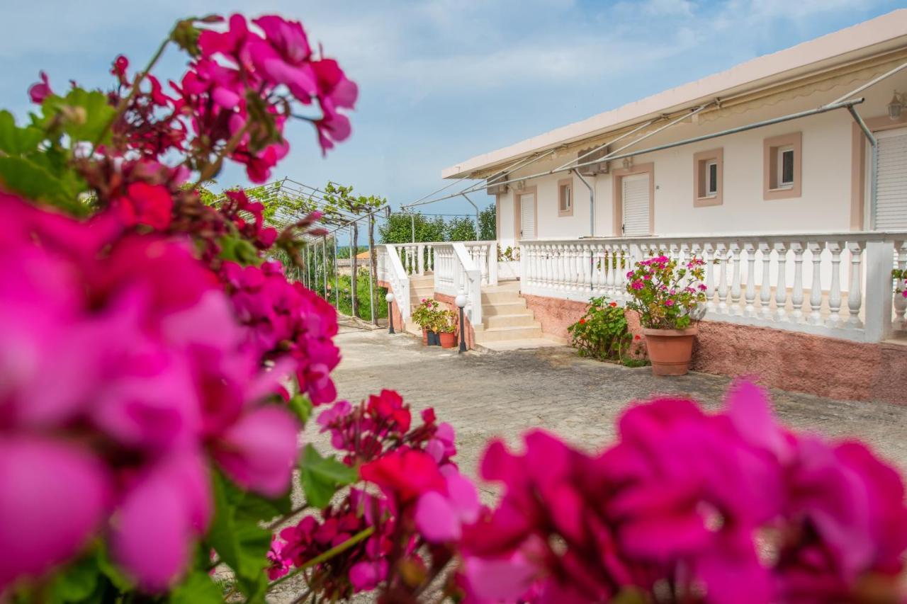 Apartment Golden Sand Paradise Iii Planos (Zakynthos)
